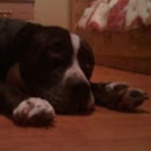 Meet your Posher, Celso